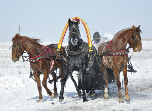 Масленица 2012